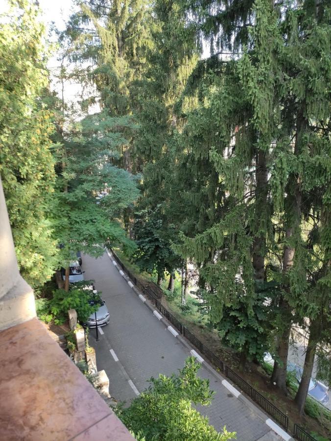 Willa Casa Rosa Băile Olăneşti Zewnętrze zdjęcie