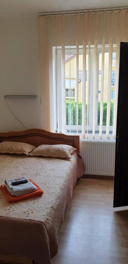 Willa Casa Rosa Băile Olăneşti Zewnętrze zdjęcie
