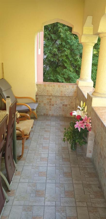 Willa Casa Rosa Băile Olăneşti Zewnętrze zdjęcie