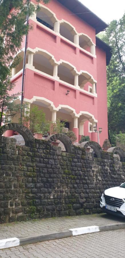 Willa Casa Rosa Băile Olăneşti Zewnętrze zdjęcie