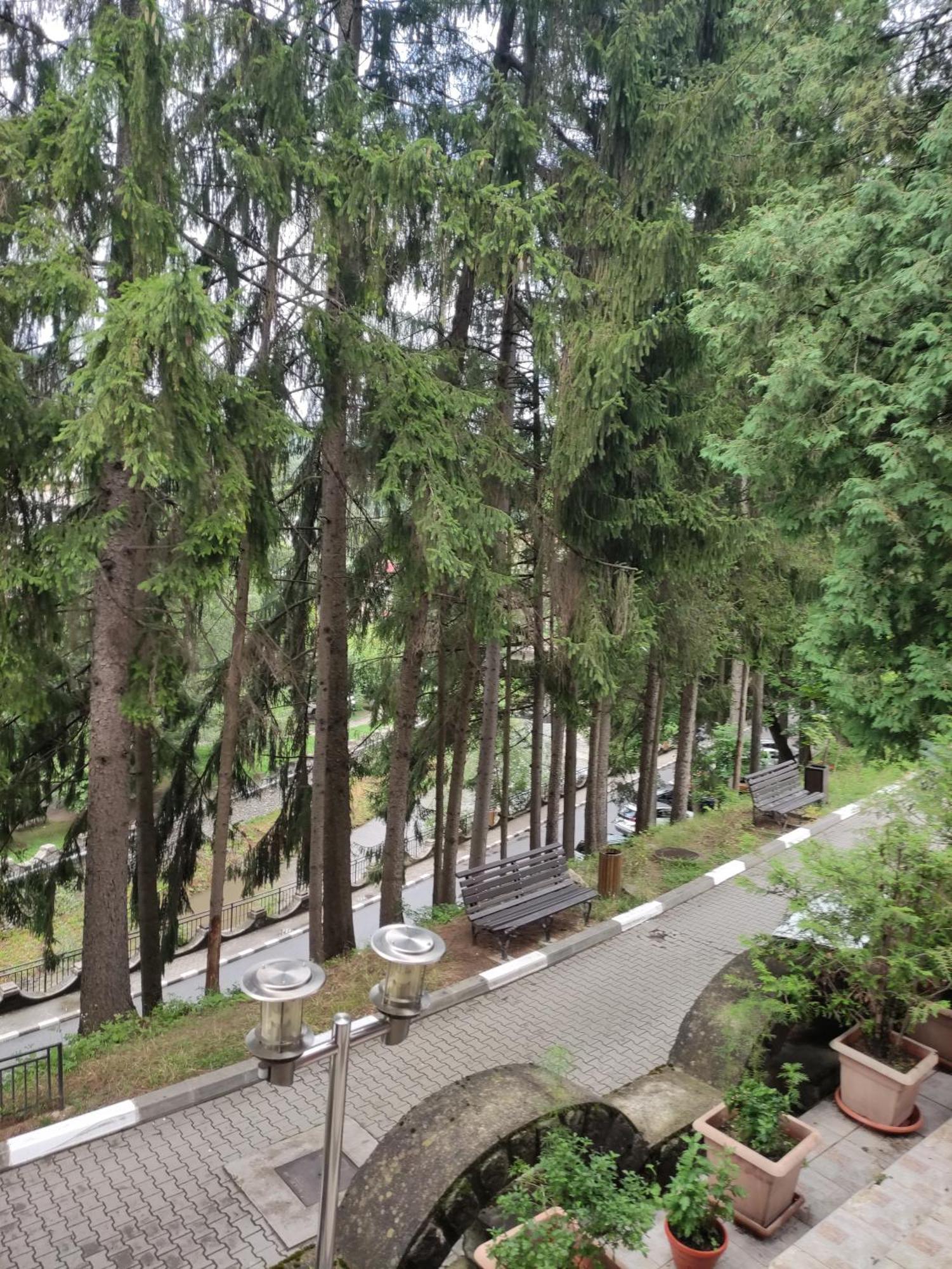Willa Casa Rosa Băile Olăneşti Zewnętrze zdjęcie