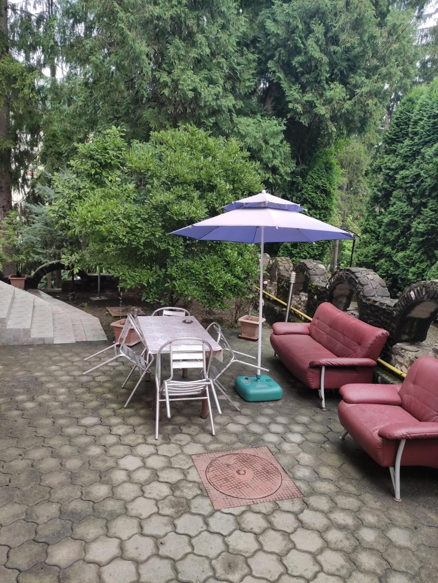 Willa Casa Rosa Băile Olăneşti Zewnętrze zdjęcie